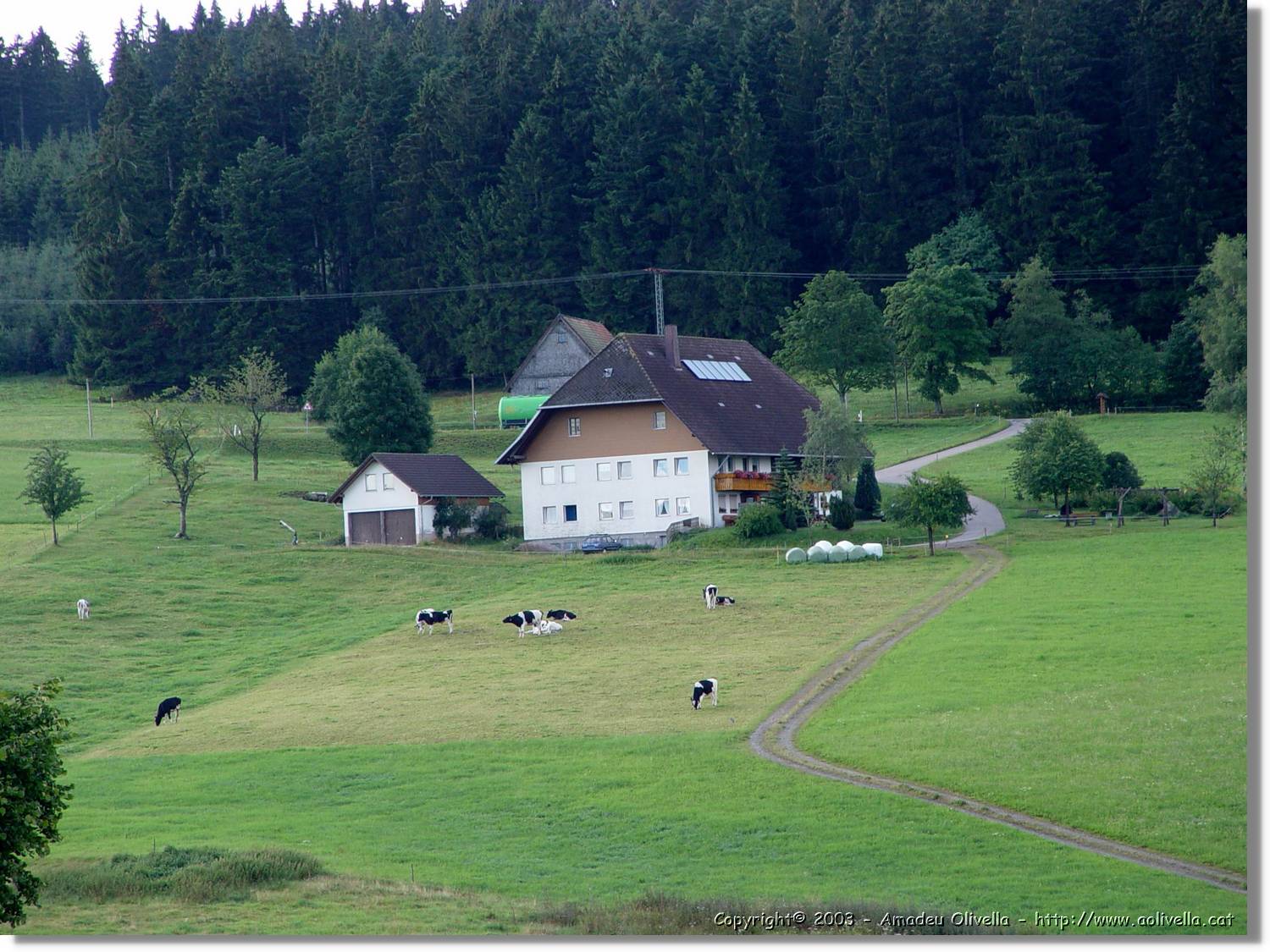 SWald_010.jpg