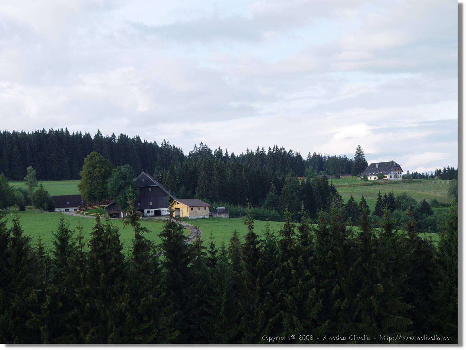 SWald_011.jpg