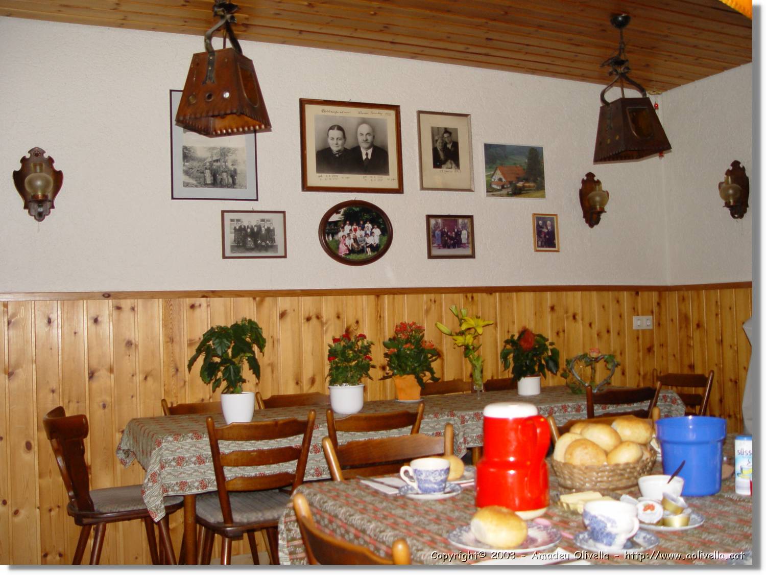 SWald_015.jpg