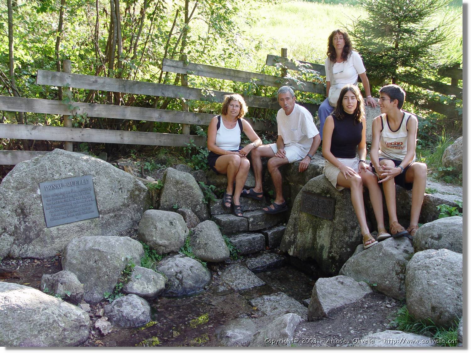 SWald_065.jpg