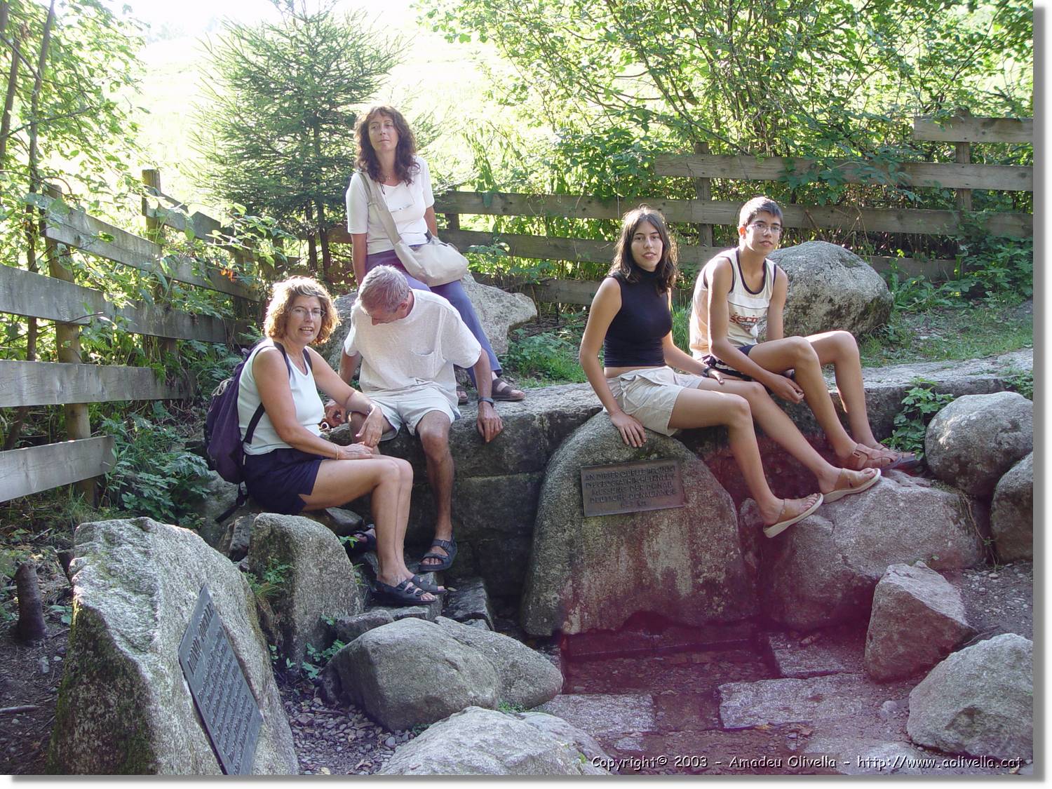 SWald_066.jpg