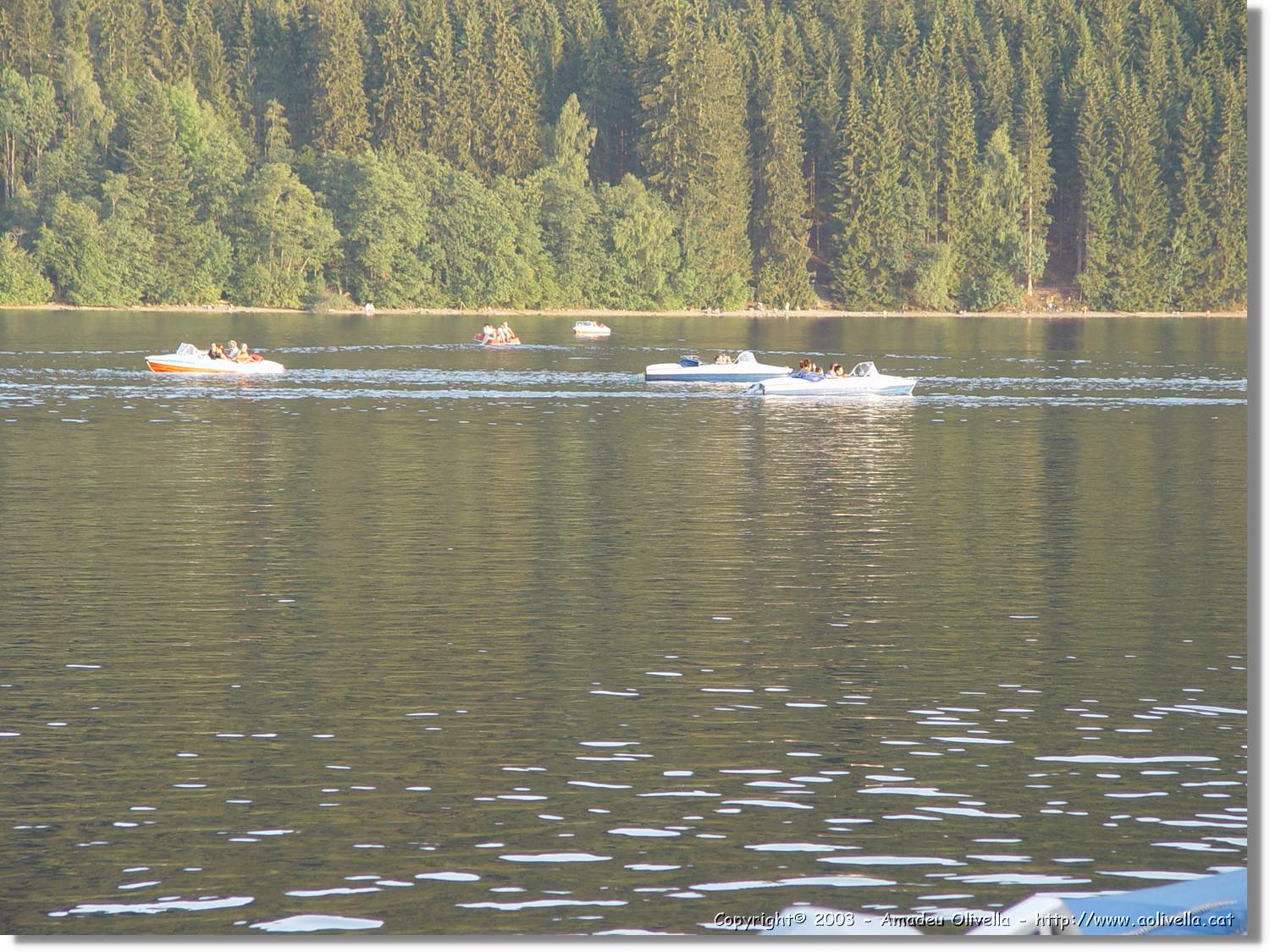 SWald_071.jpg