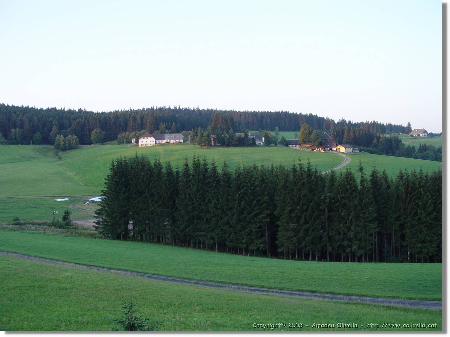 SWald_075.jpg