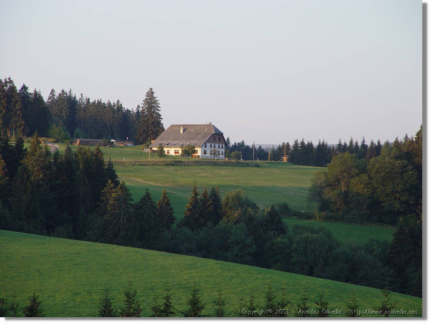 SWald_076.jpg