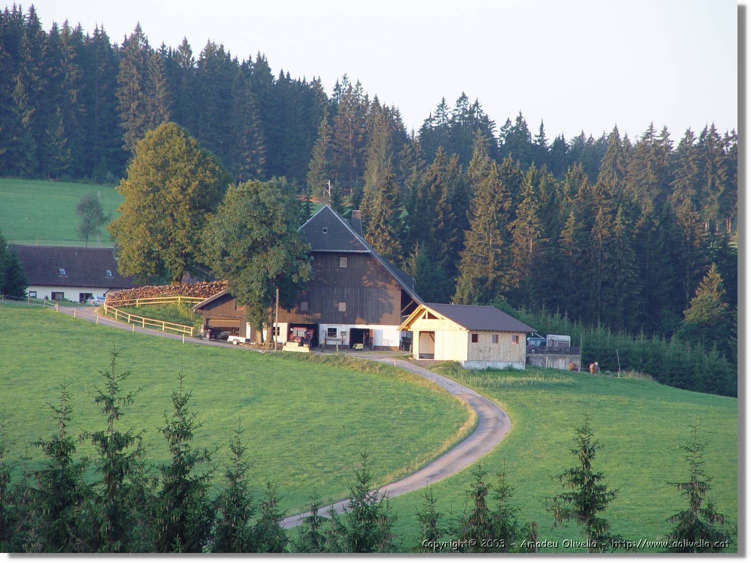 SWald_077.jpg