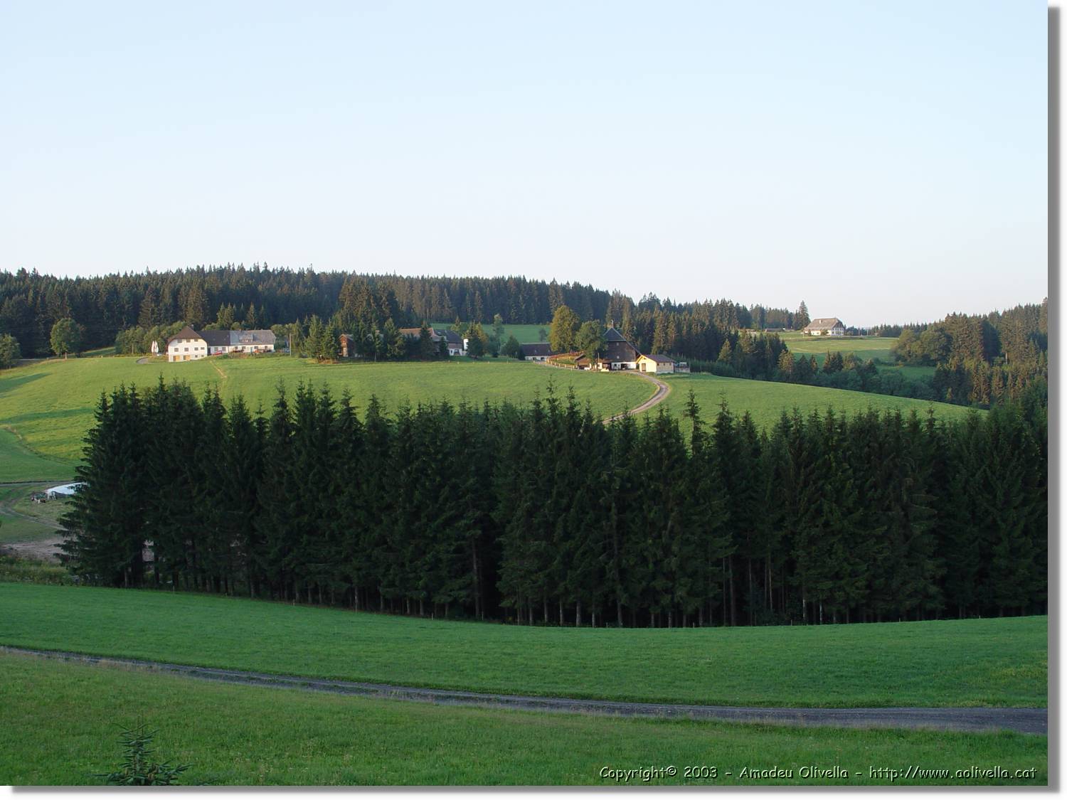 SWald_078.jpg