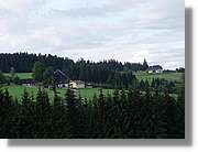 SWald_011.jpg