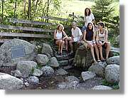 SWald_065.jpg
