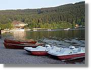 SWald_070.jpg