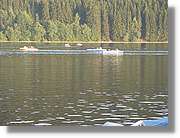 SWald_071.jpg