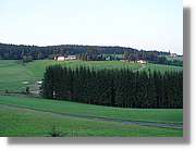 SWald_075.jpg