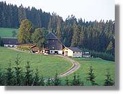 SWald_077.jpg