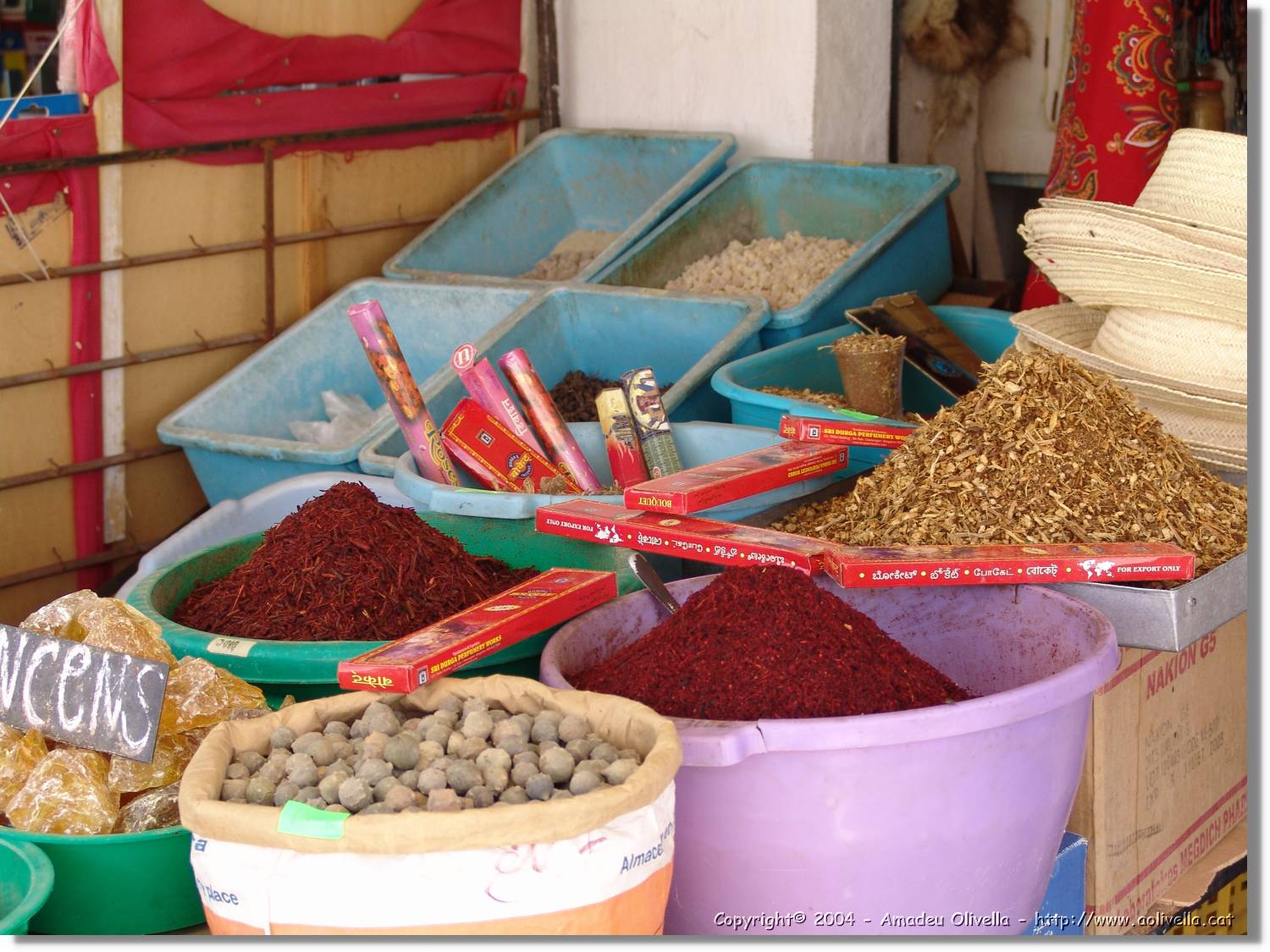 Tunisia_0217.jpg