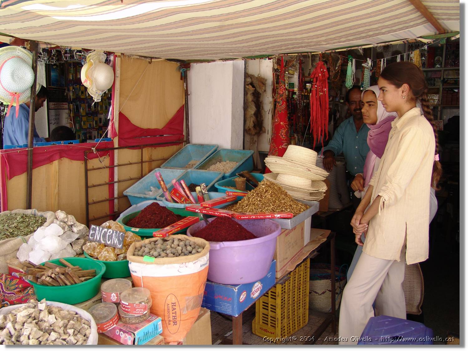 Tunisia_0218.jpg