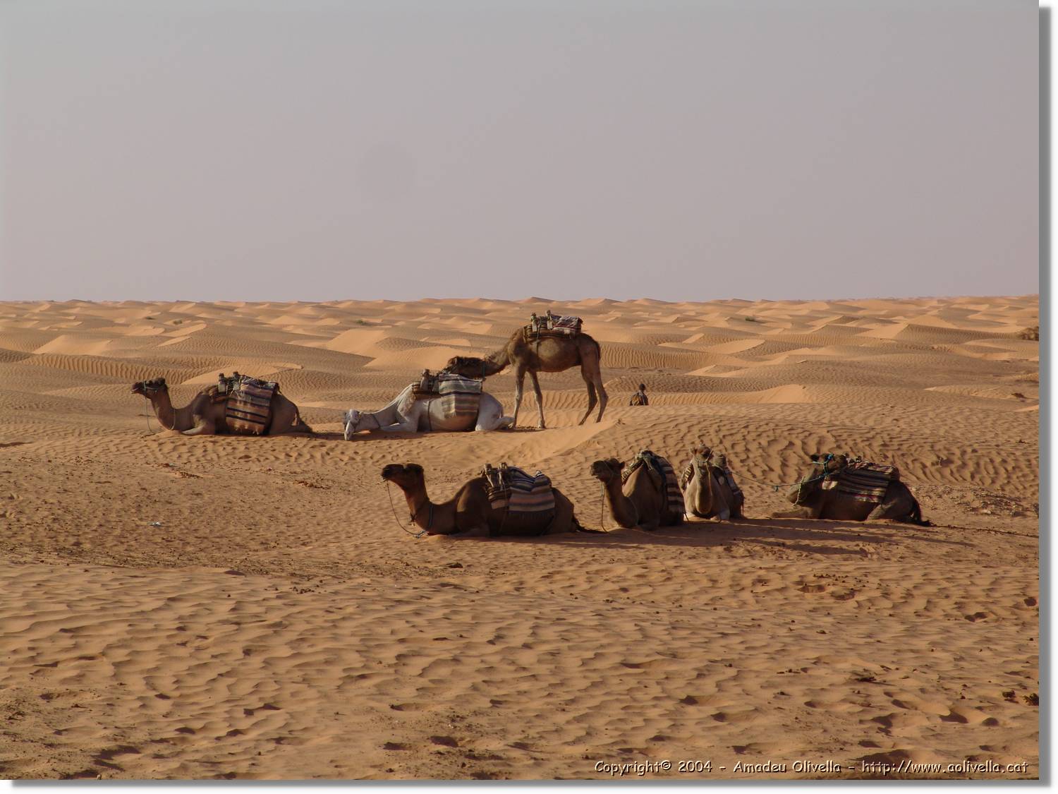 Tunisia_0238.jpg