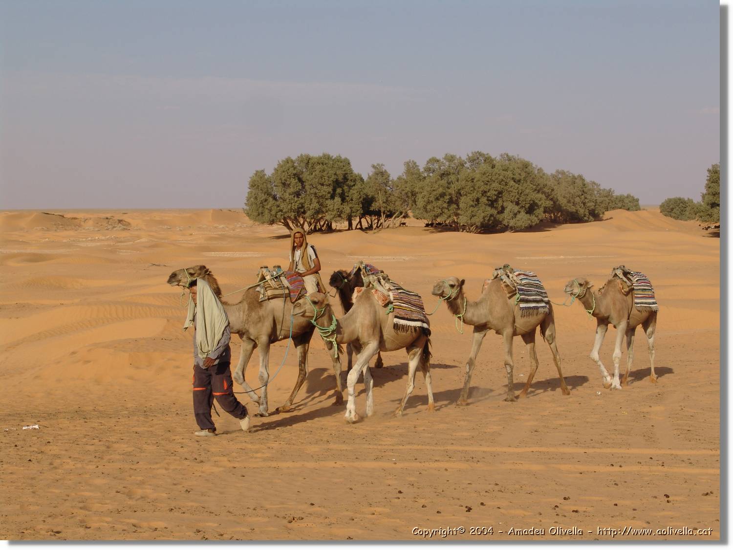 Tunisia_0239.jpg