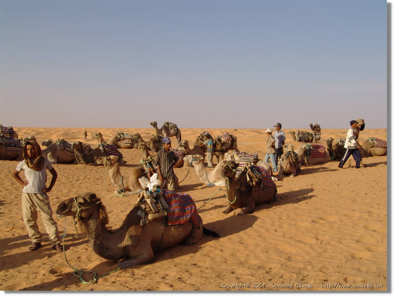 Tunisia_0246.jpg