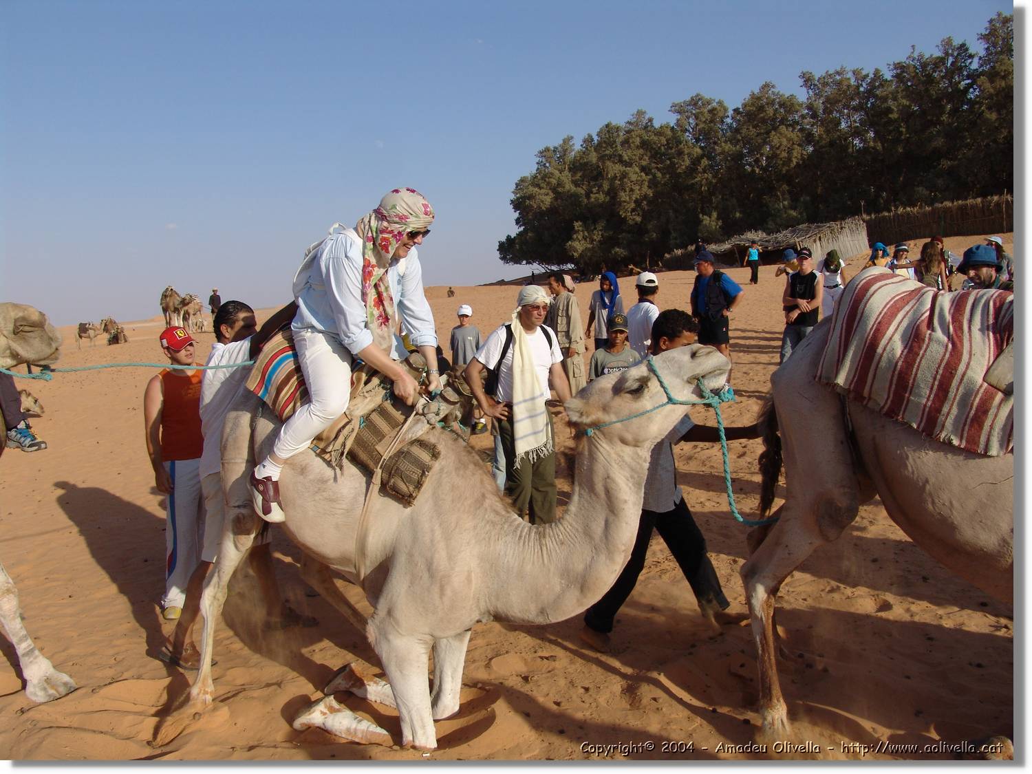 Tunisia_0248.jpg