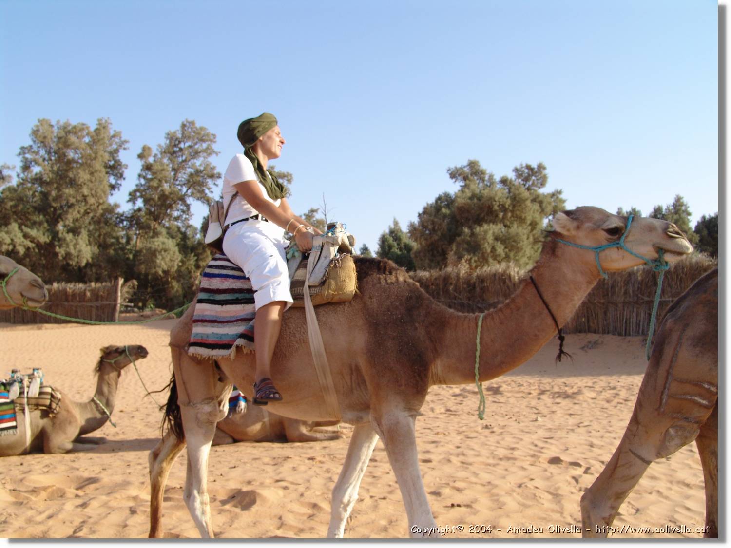 Tunisia_0254.jpg