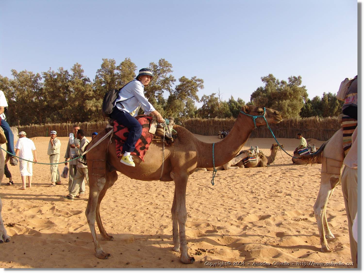 Tunisia_0257.jpg