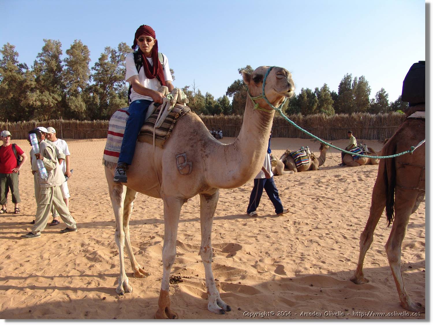 Tunisia_0258.jpg