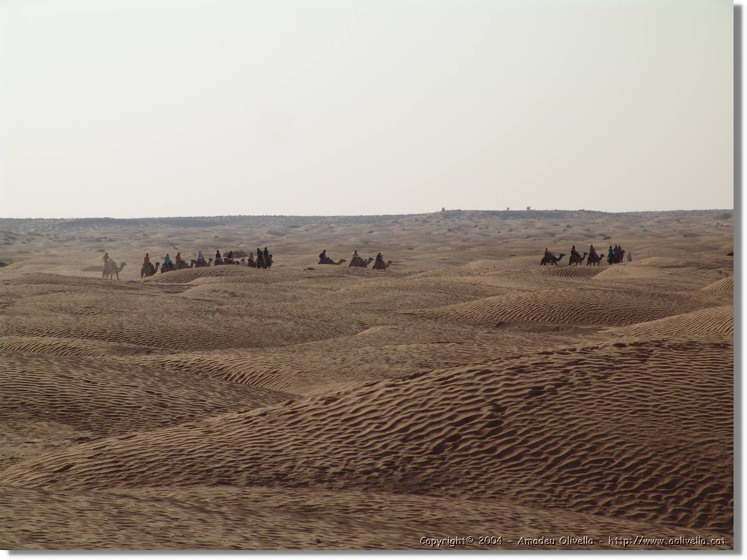 Tunisia_0259.jpg