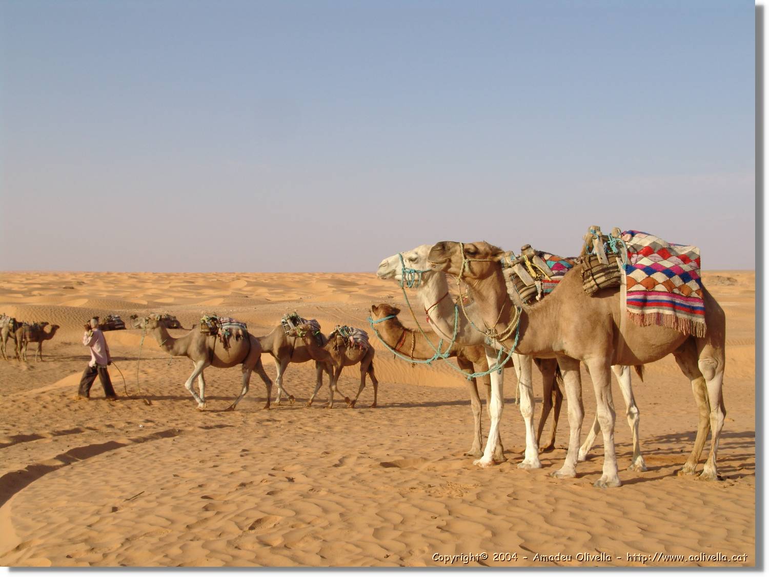 Tunisia_0260.jpg