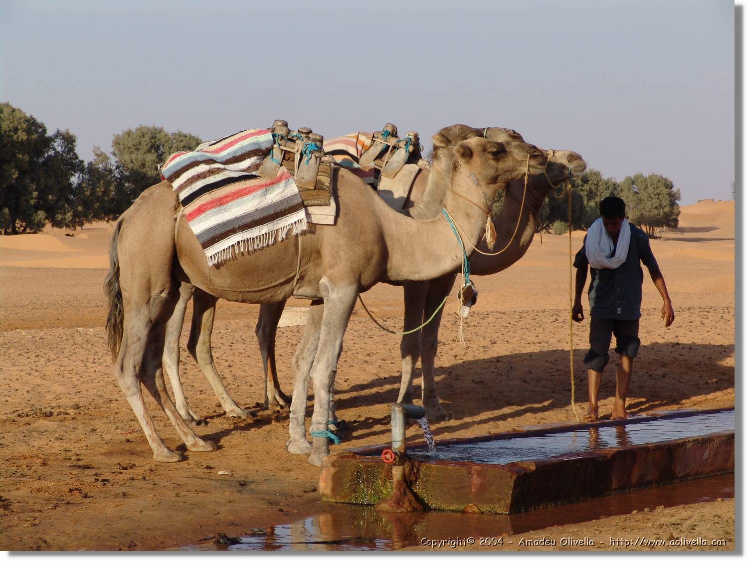 Tunisia_0264.jpg