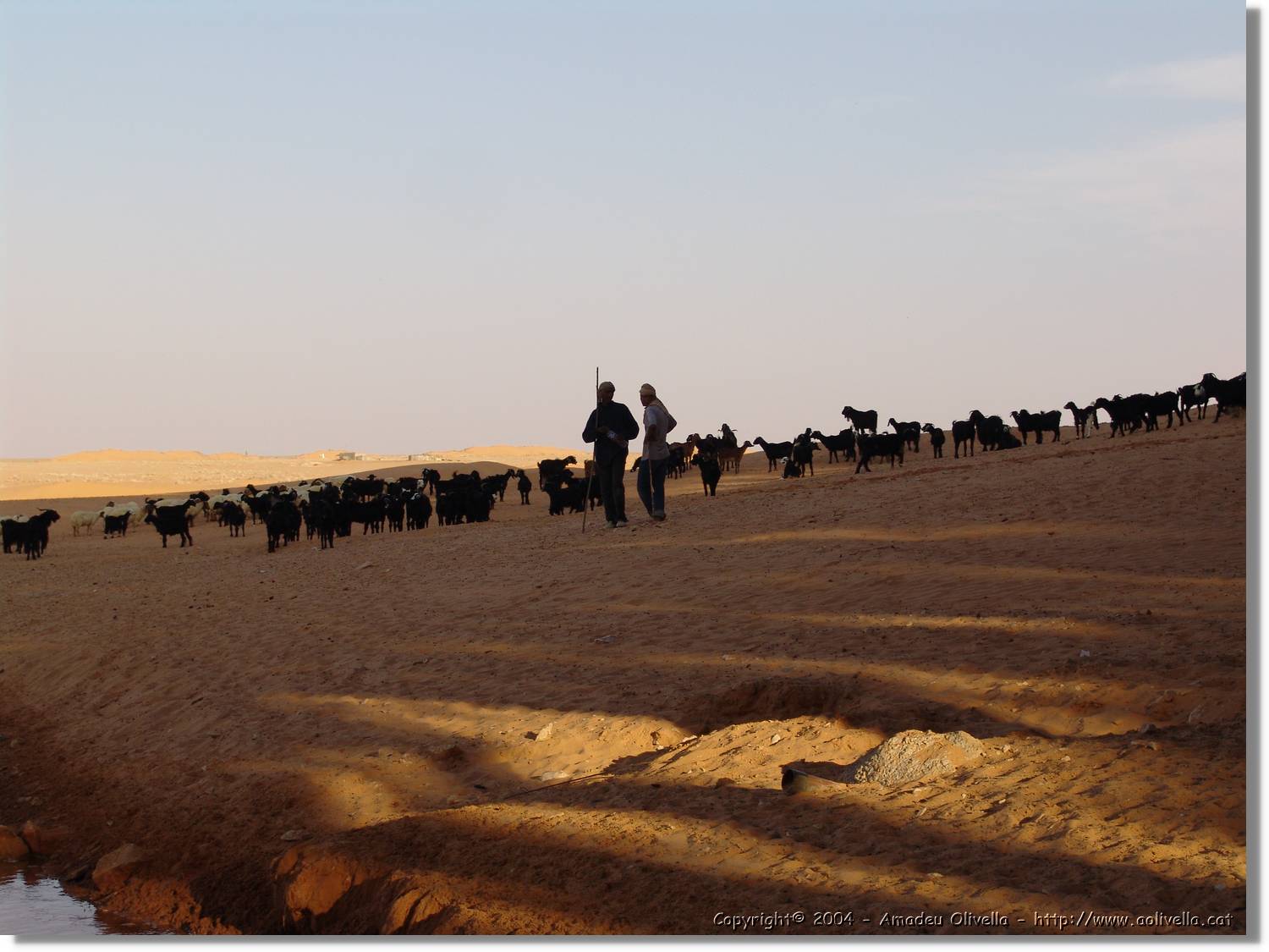 Tunisia_0266.jpg