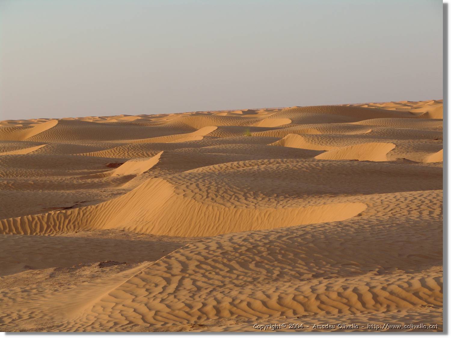 Tunisia_0268.jpg
