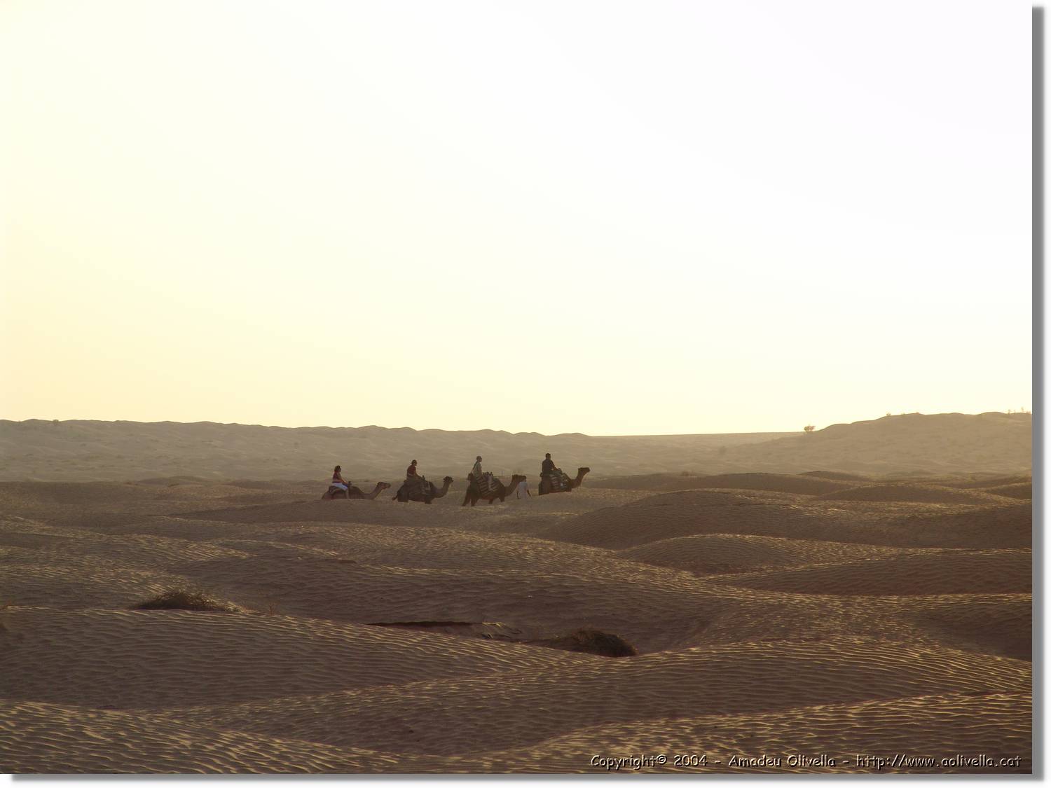 Tunisia_0276.jpg