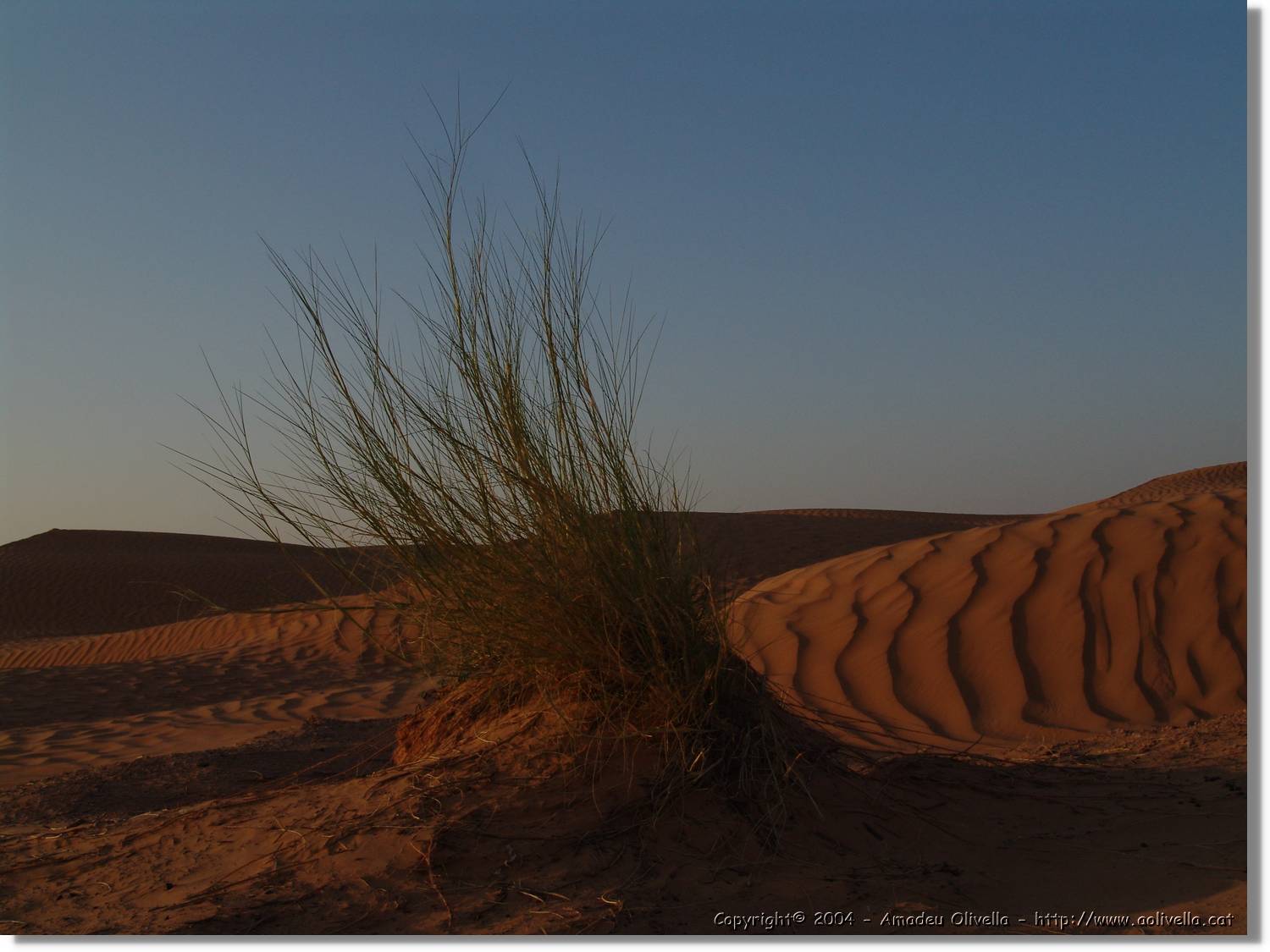 Tunisia_0277.jpg