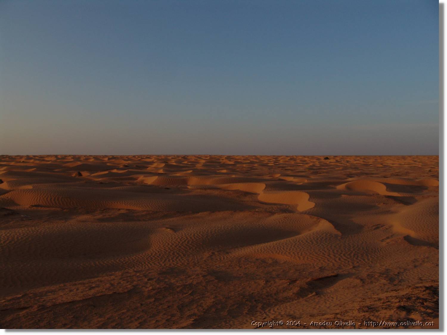 Tunisia_0281.jpg