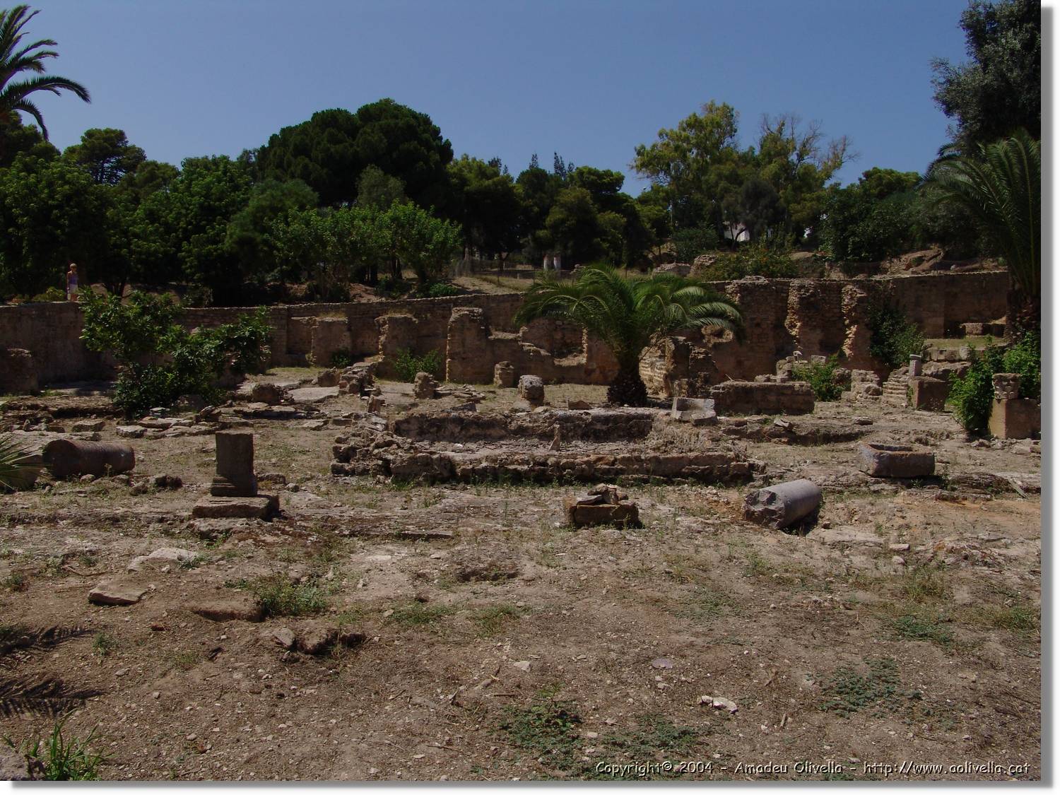 Tunisia_0922.jpg