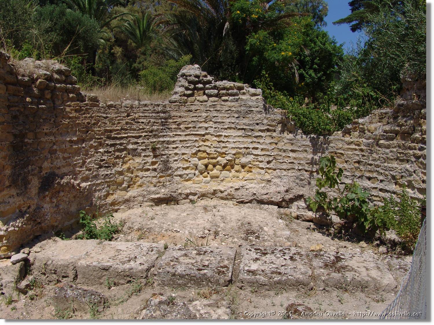 Tunisia_0923.jpg