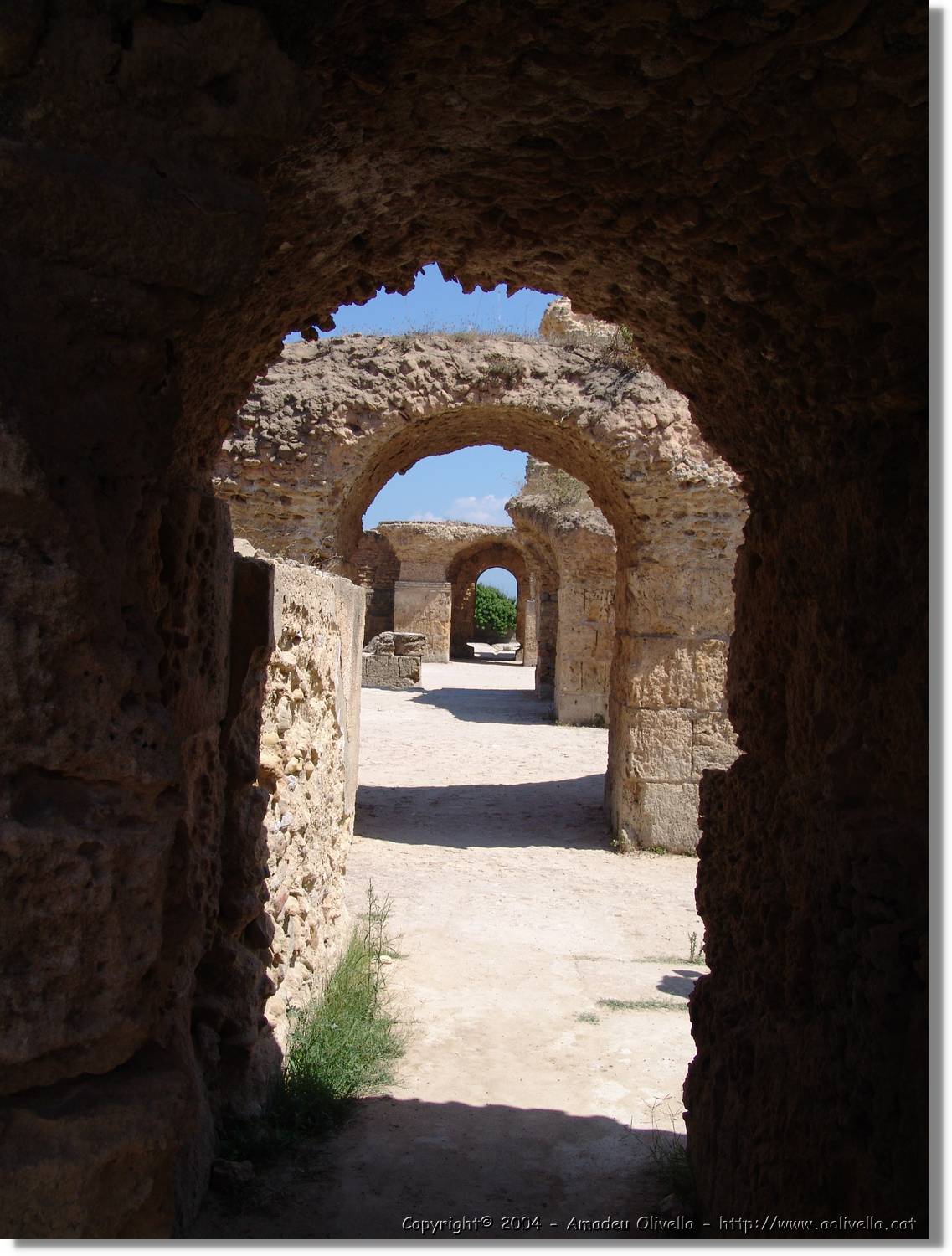 Tunisia_0936.jpg