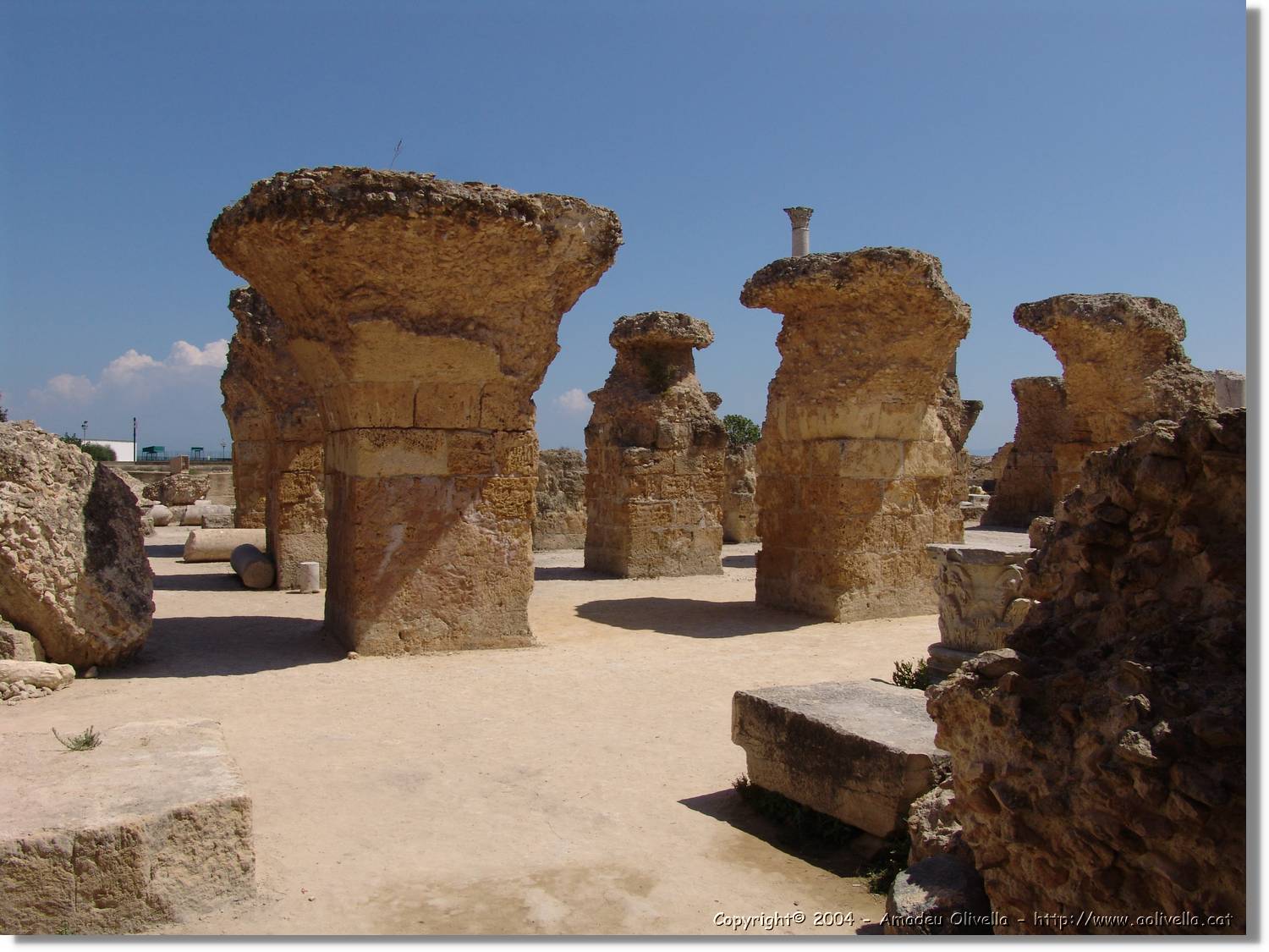 Tunisia_0943.jpg