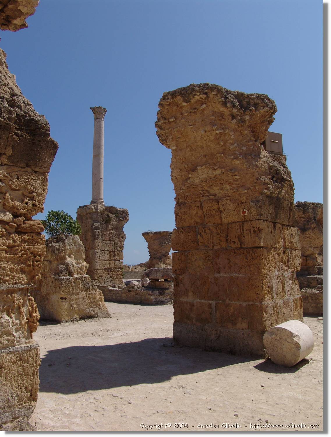 Tunisia_0945.jpg