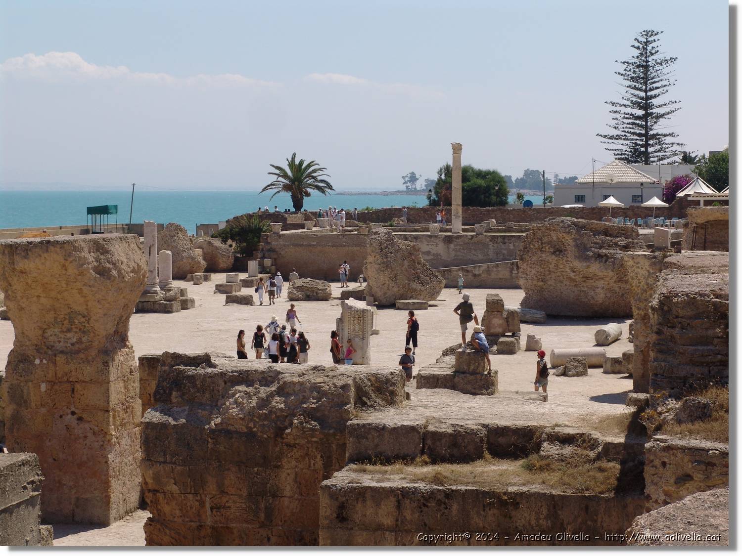 Tunisia_0950.jpg