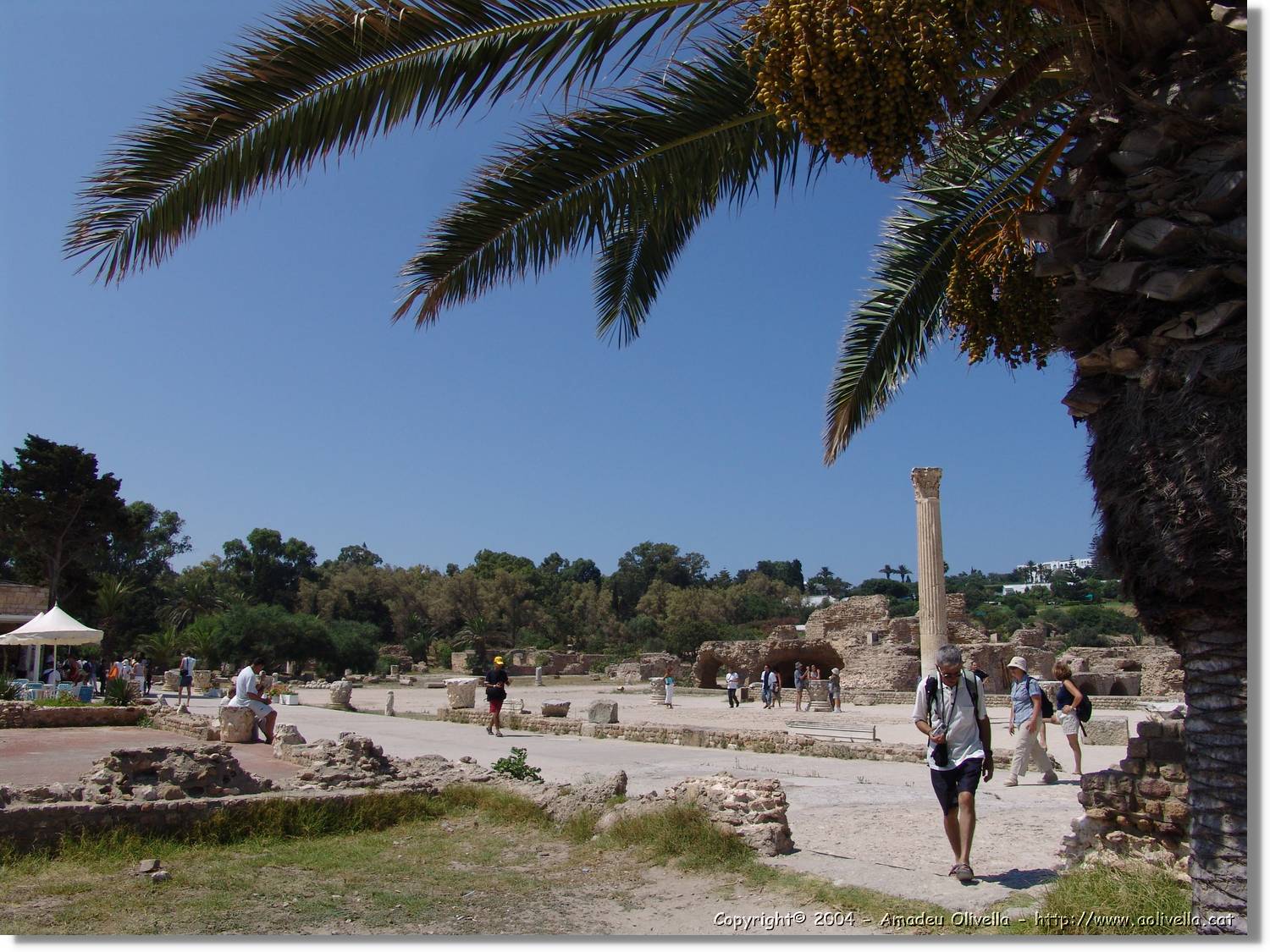 Tunisia_0963.jpg