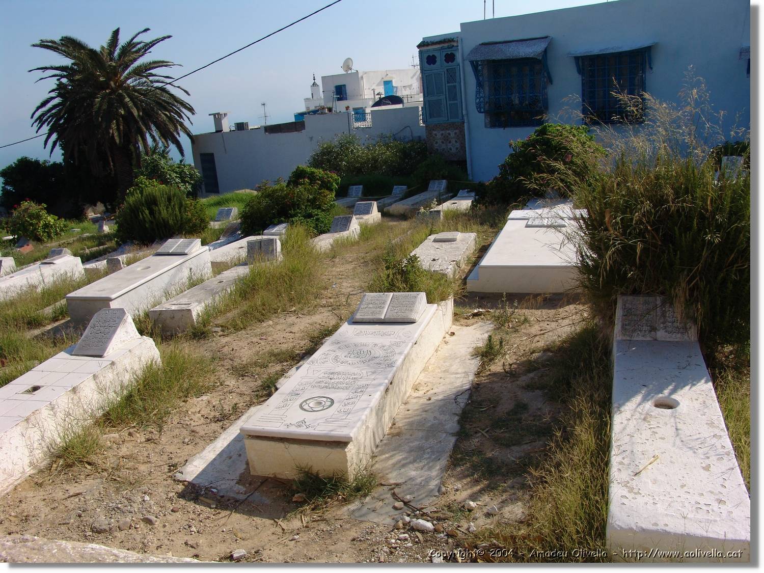 Tunisia_1034.jpg