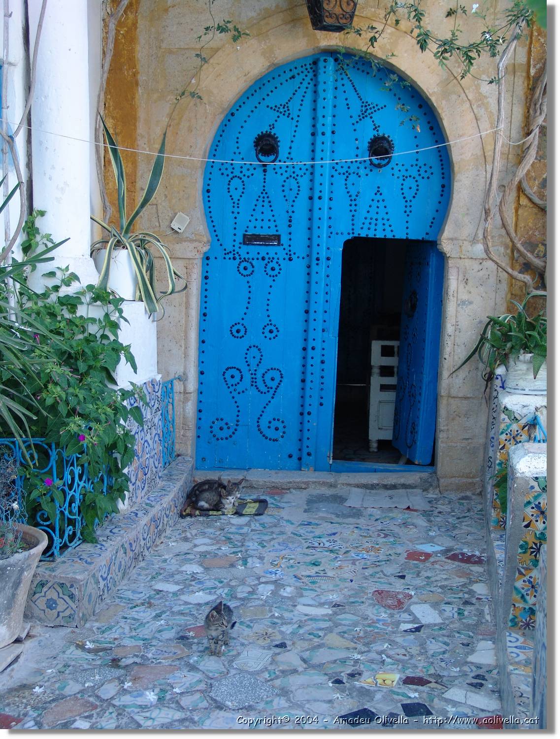 Tunisia_1037.jpg