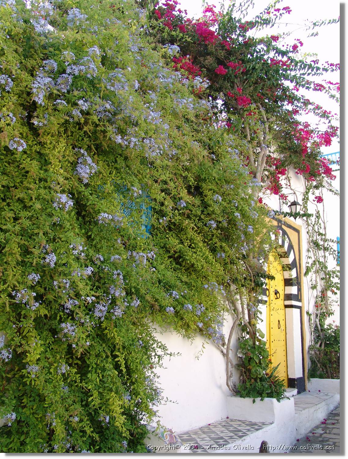 Tunisia_1039.jpg