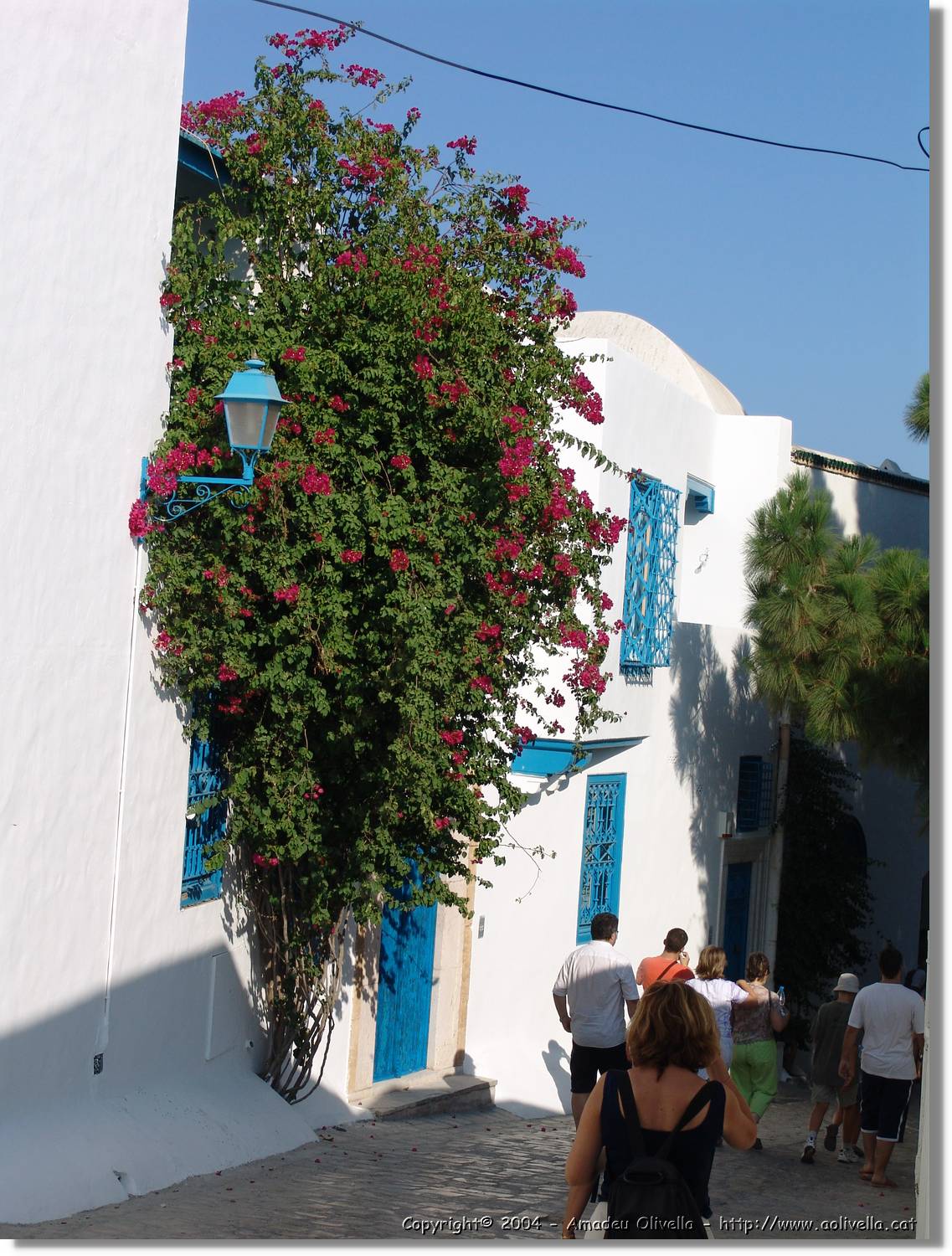 Tunisia_1040.jpg
