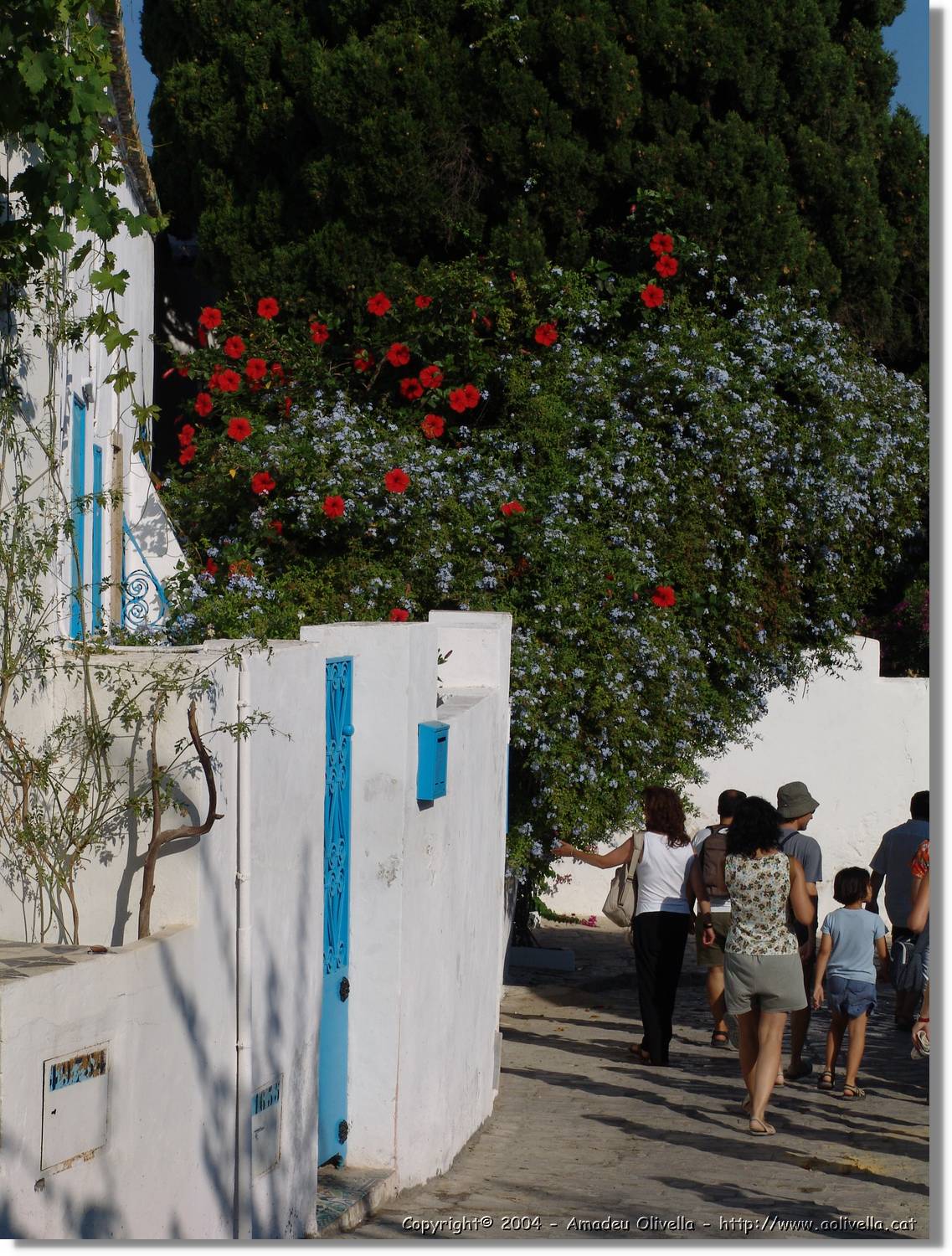 Tunisia_1042.jpg