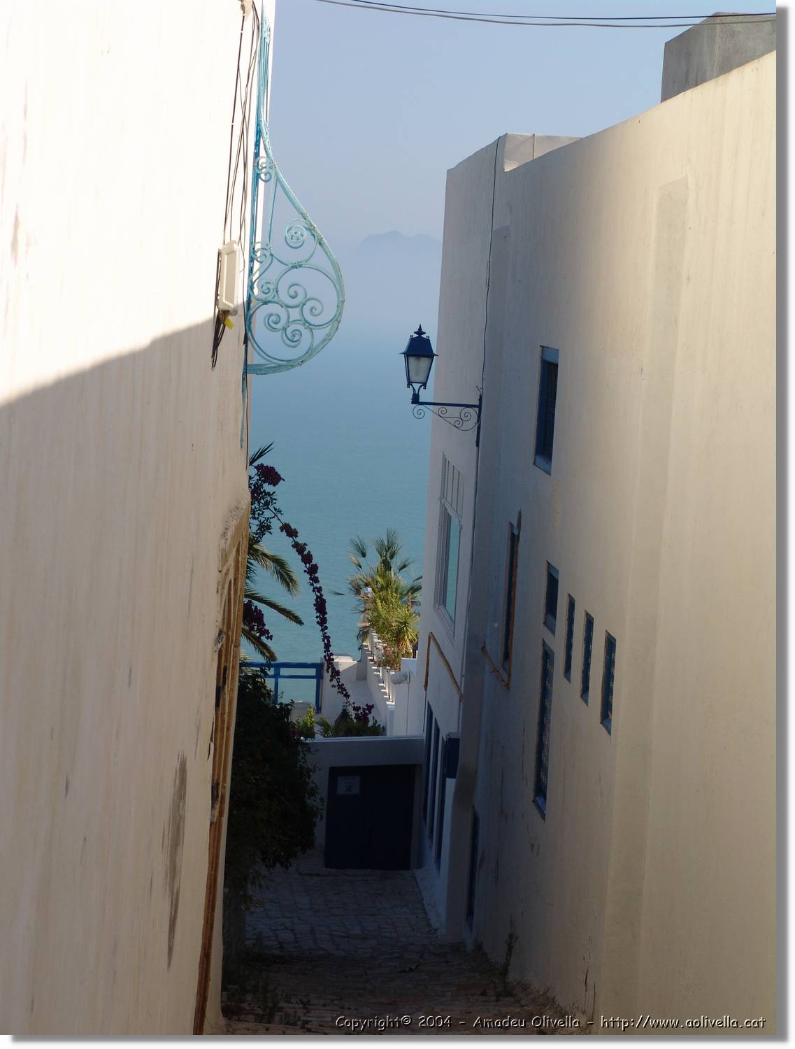 Tunisia_1046.jpg