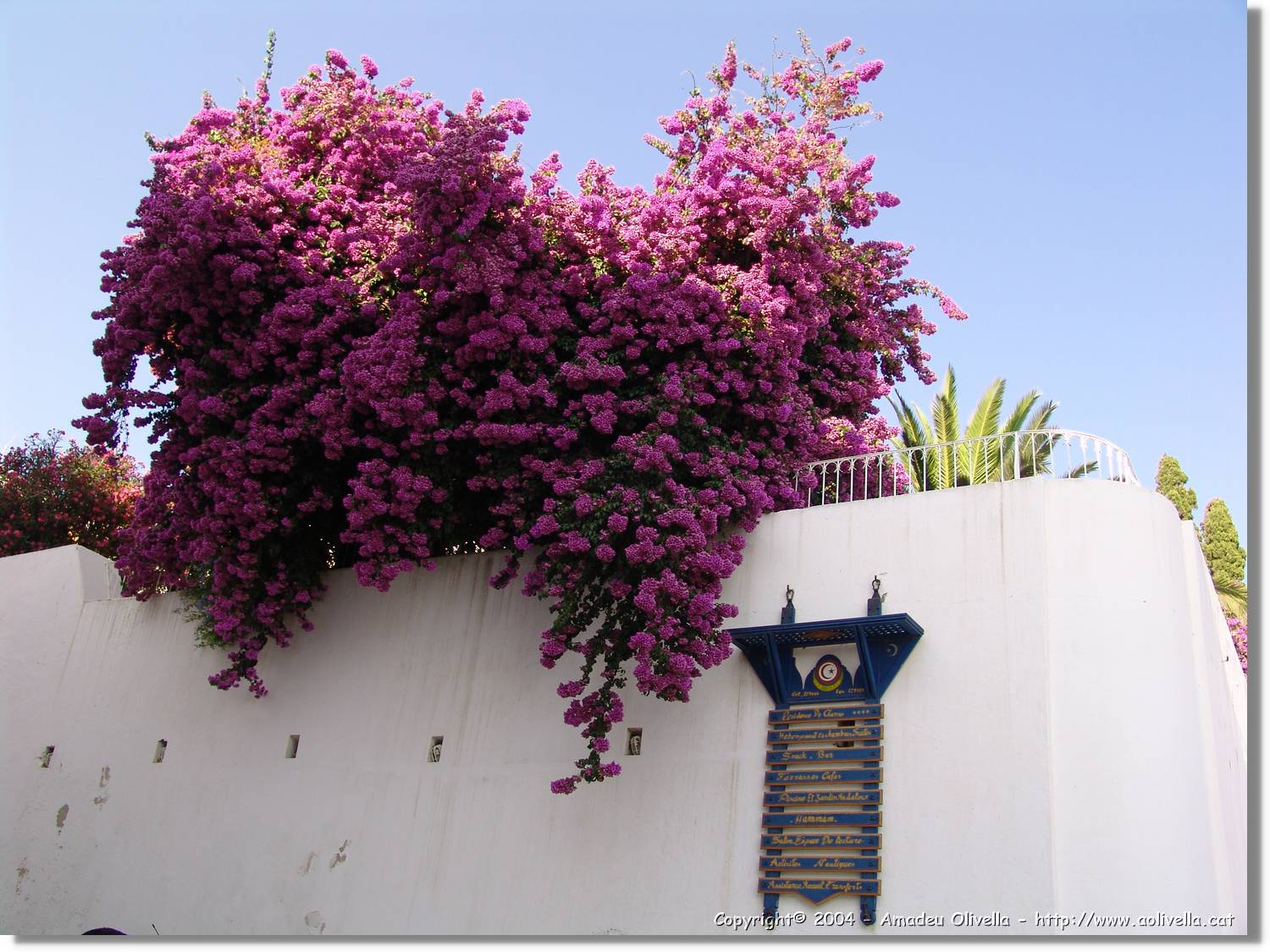 Tunisia_1048.jpg