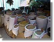 Tunisia_0054.jpg