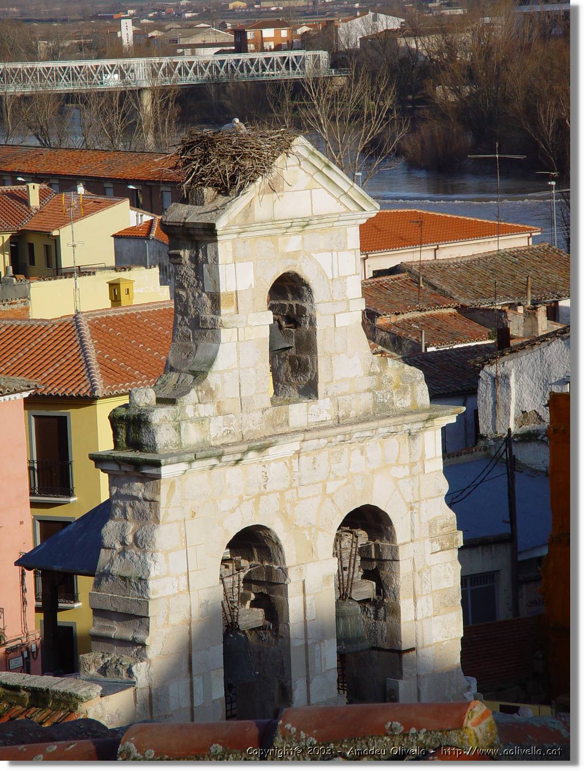 Zamora_008.jpg