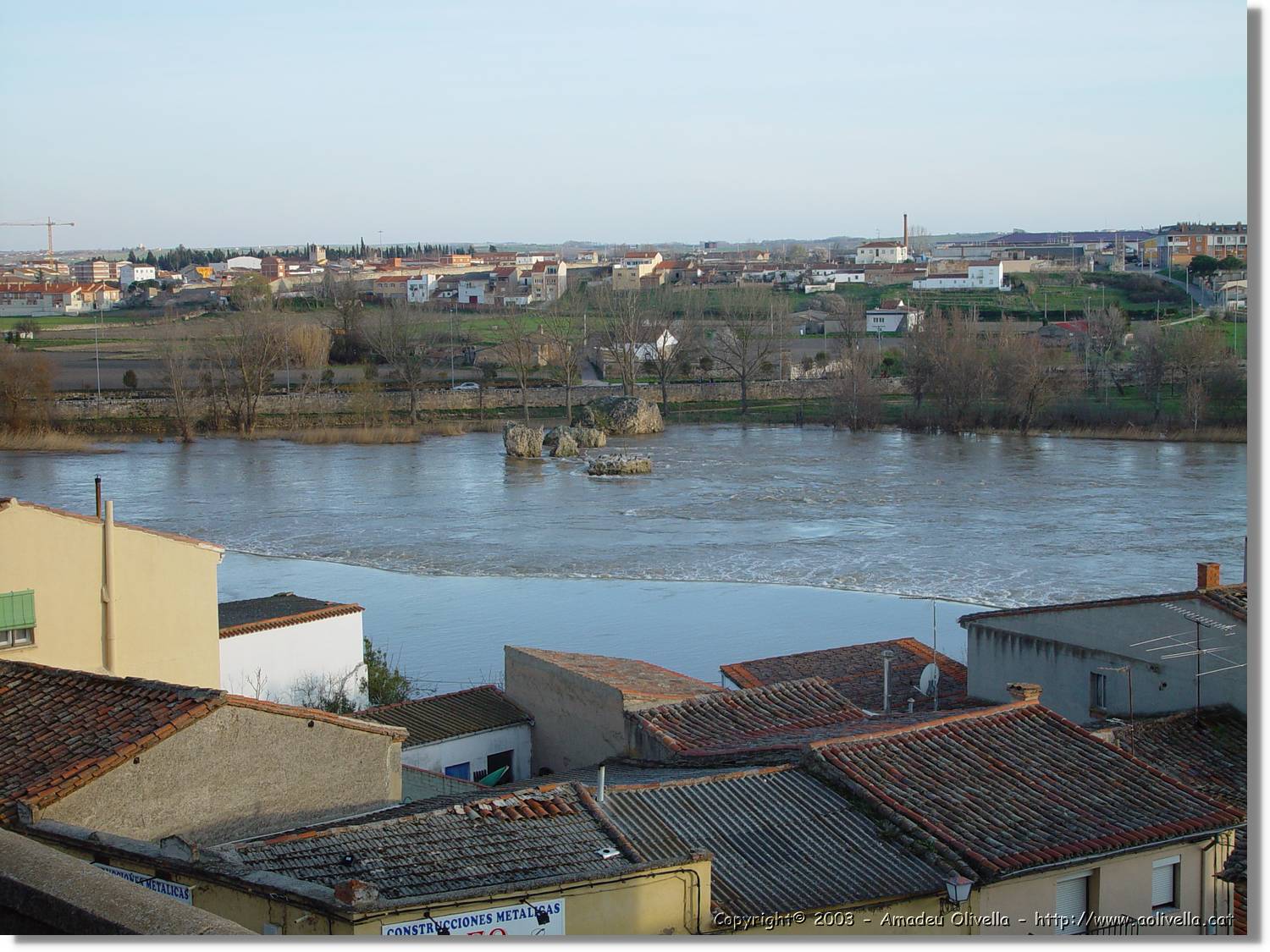 Zamora_021.jpg